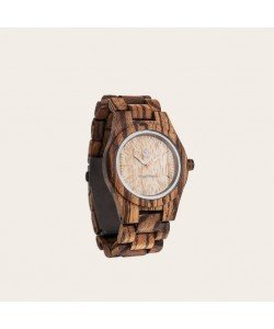 Zebra Petite - Core 36MM